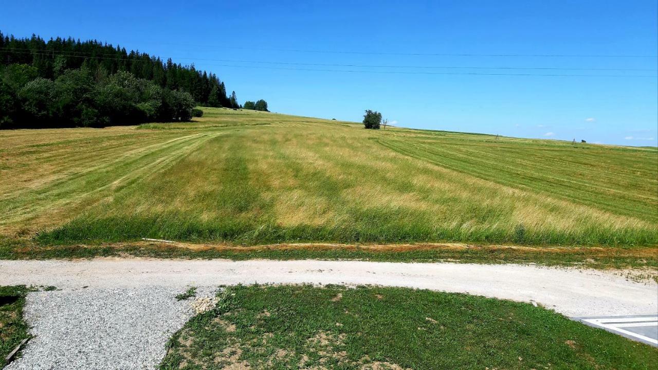 Orawski Letniskowiec Vila Zubrzyca Dolna Exterior foto